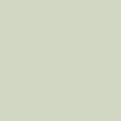 Cover Styl Color NH05  Pistachio Green  1,22x1m