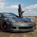 PWF Style CC4310 Kinetic Dragonfly Black 1,52x1m