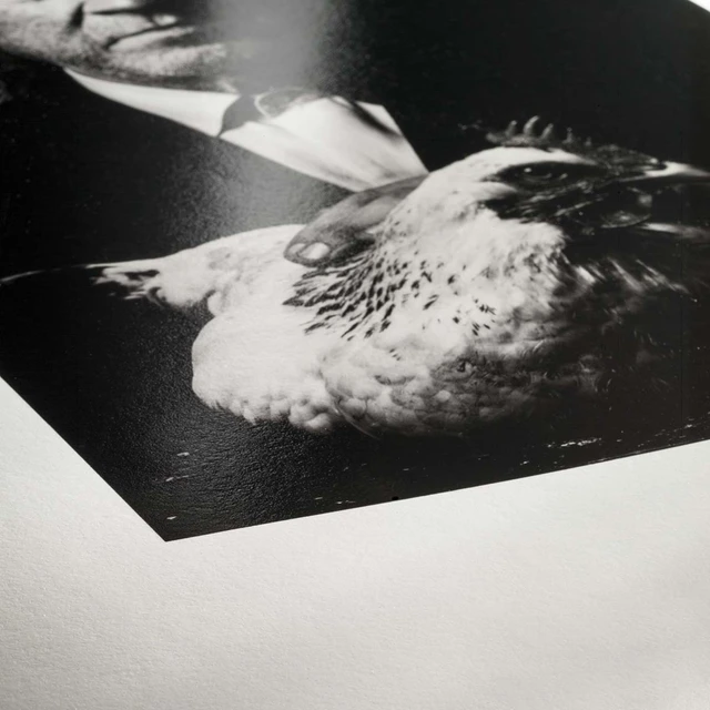 Hahnemühle Photo Rag Baryta 315g 100% Cotton, high-gloss 