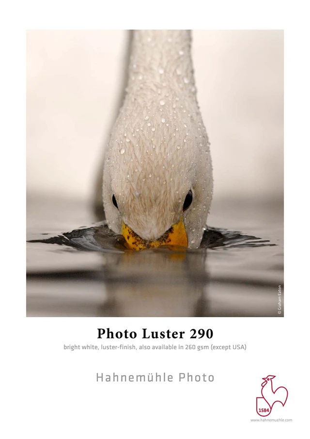 Hahnemühle Photo Luster 290g PE-paper, luster-finish 