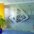 Aslan EL 302 SilverEtched Dryapply 80mic